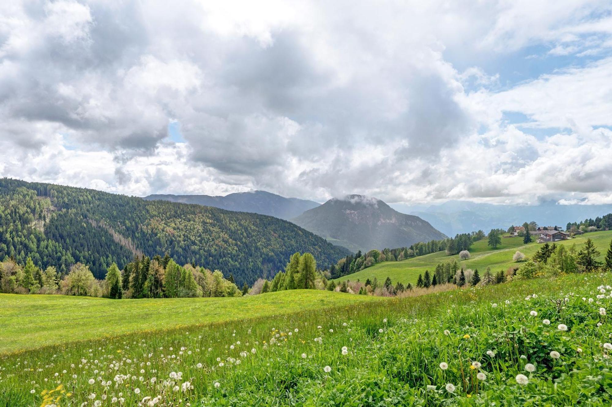 Huanzhof Ferienwohnung Schwarzhorn アルディーノ エクステリア 写真