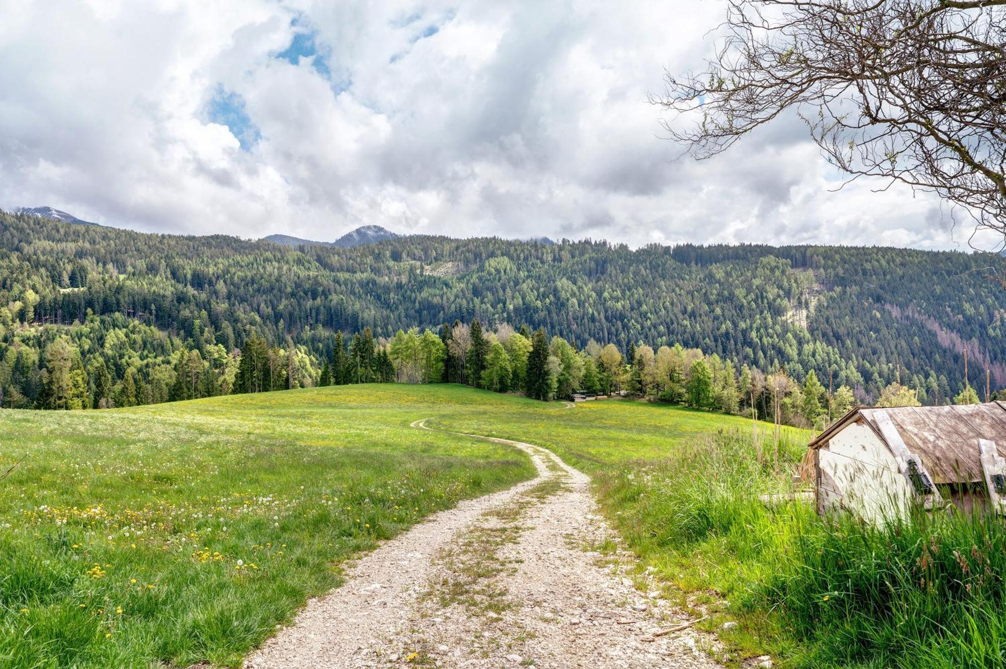 Huanzhof Ferienwohnung Schwarzhorn アルディーノ エクステリア 写真